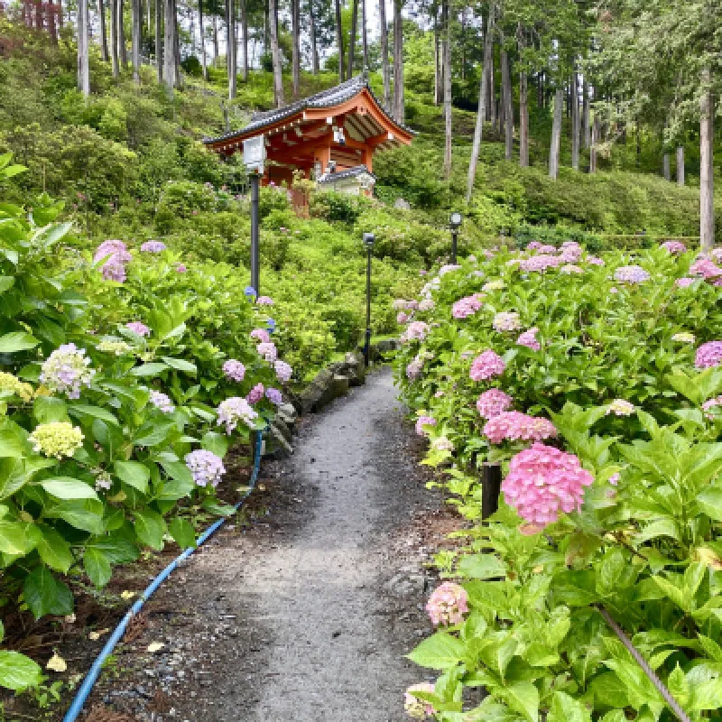 三室戸寺