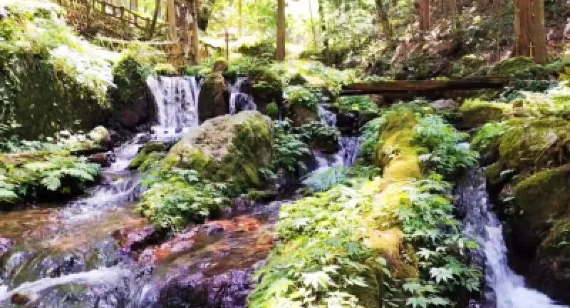 瓜割名水公園