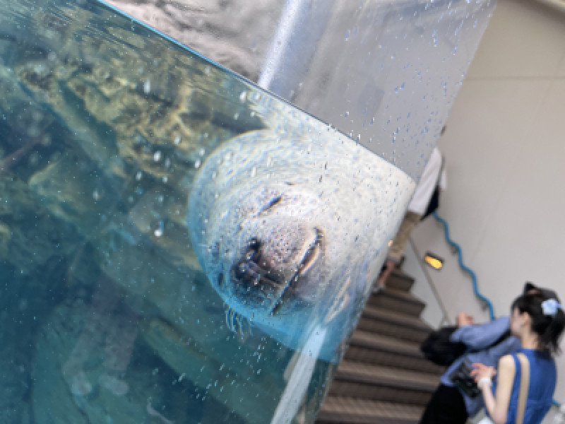 京都水族館?