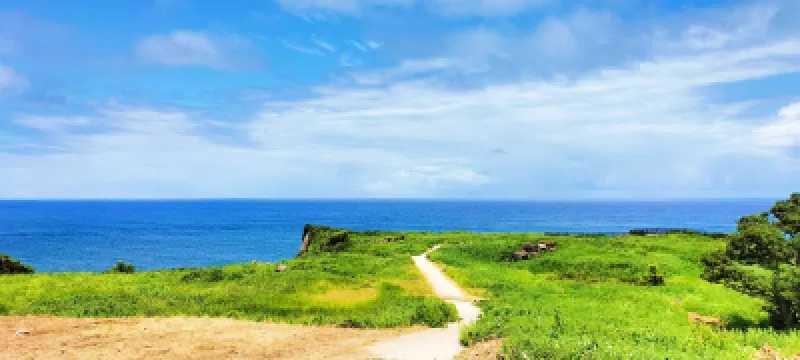 夏の海