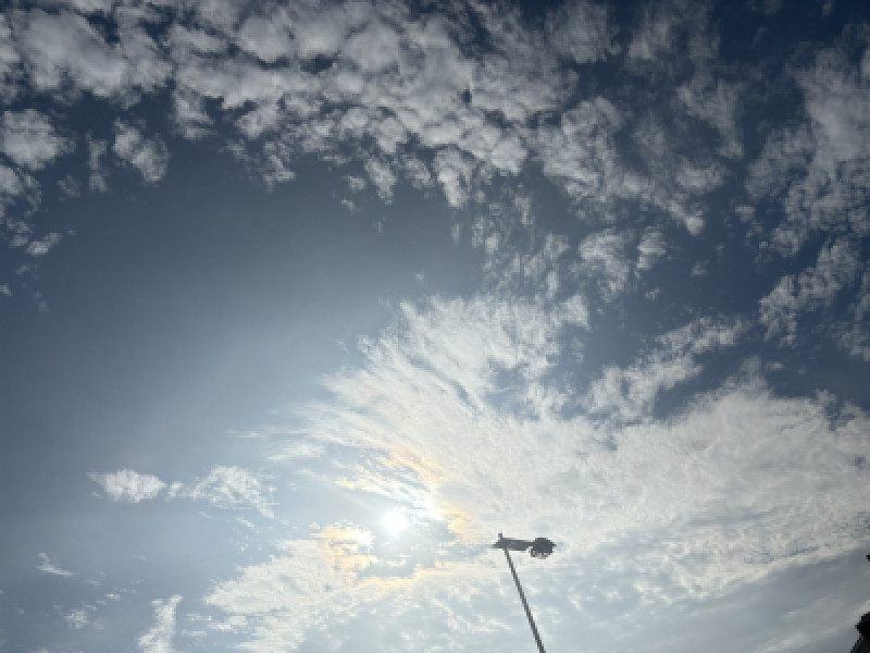 今日の天気