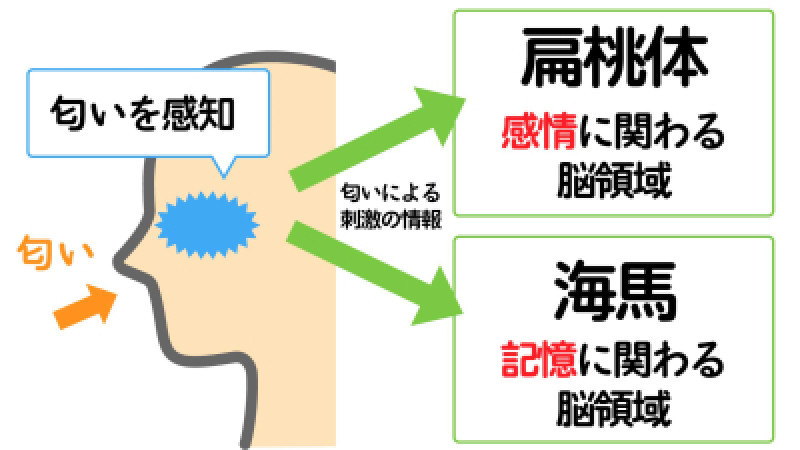 デリヘルニキ将大の商品概要　其の5