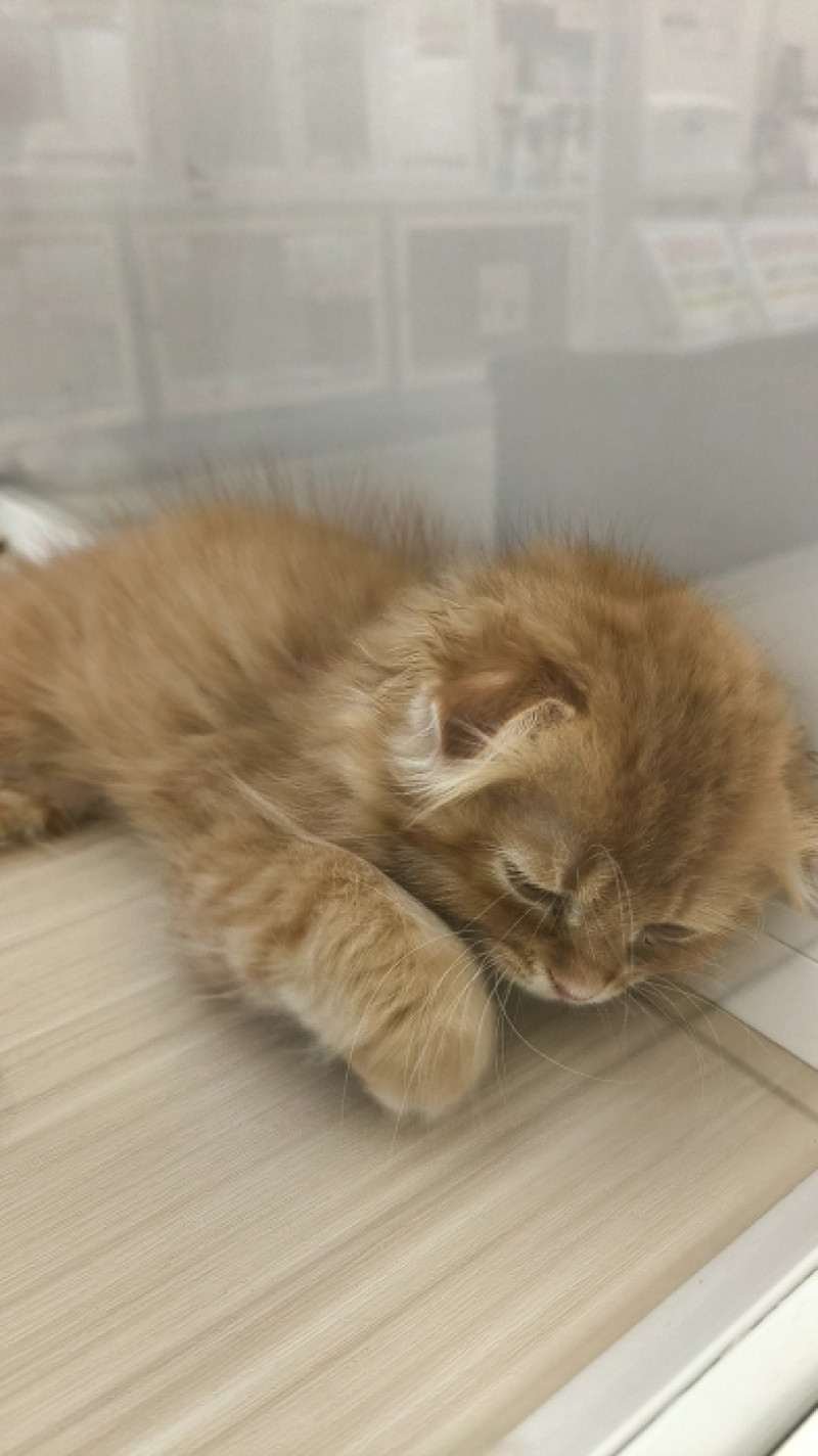 今週も