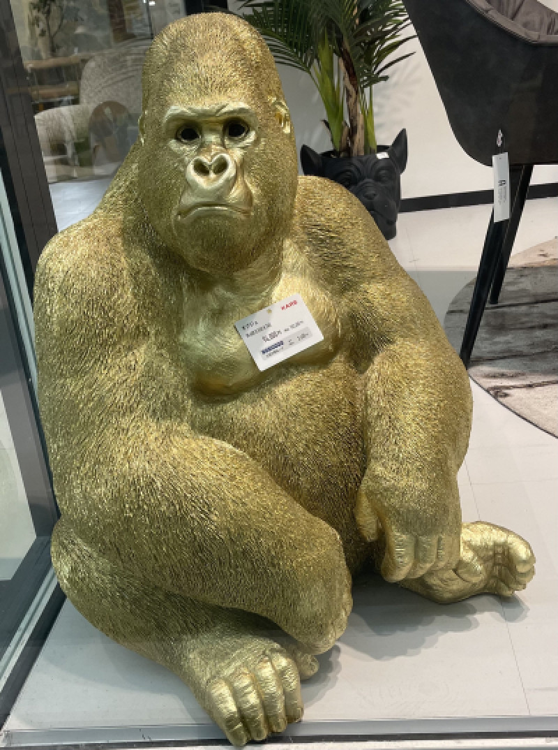 なんか撮ってまう?