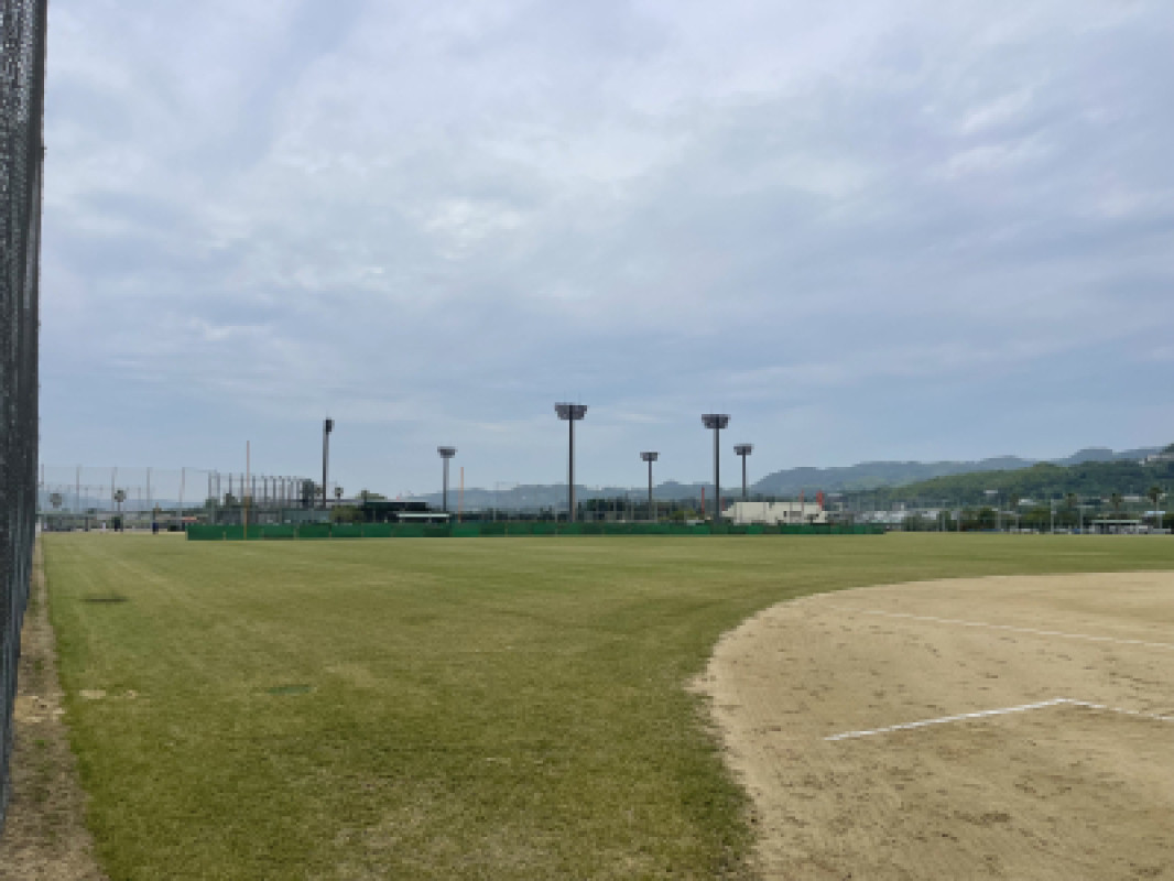 今日は本業中。