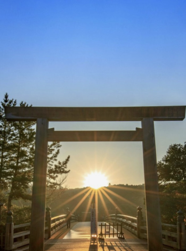 今年1年お世話になりました。