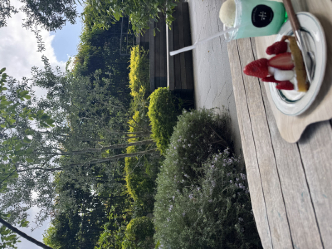 今週も終了?