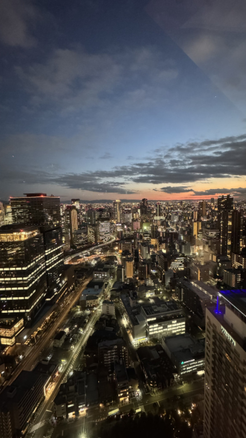 つかの間の日差し