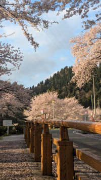 暖かくなってきましたね