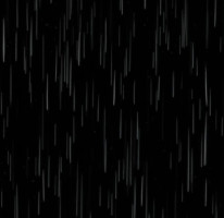 雨…Singin’ in the Rain