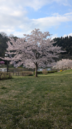 こんにちは