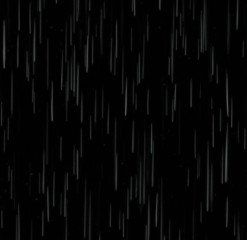 雨…Singin’ in the Rain
