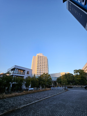 ３月ですね。