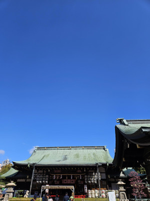 こんにちは！