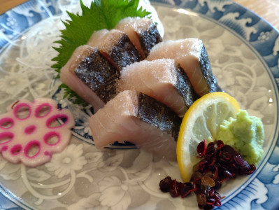 春の魚