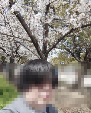花見日和