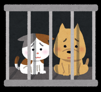 保護犬シェルター