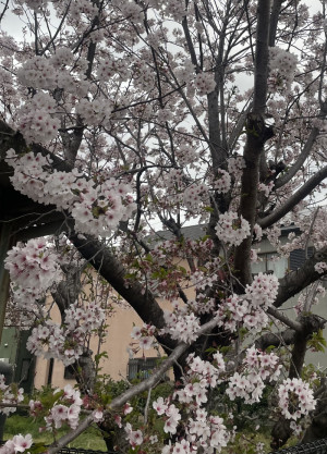 初投稿…お世話になります。