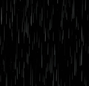 雨…Singin’ in the Rain