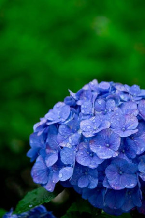 6月