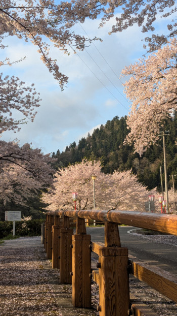 暖かくなってきましたね