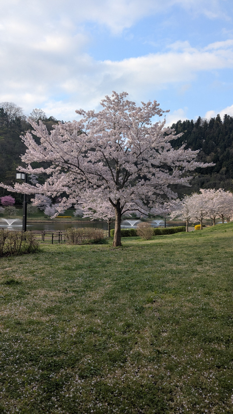 こんにちは