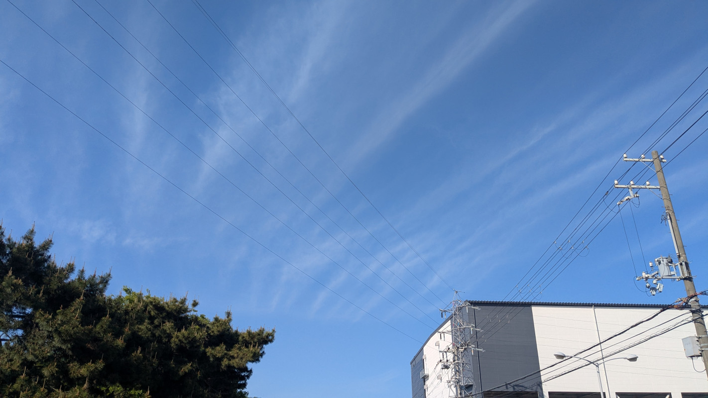 本日はありがとうございました