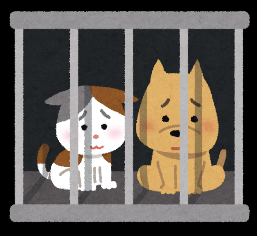保護犬シェルター