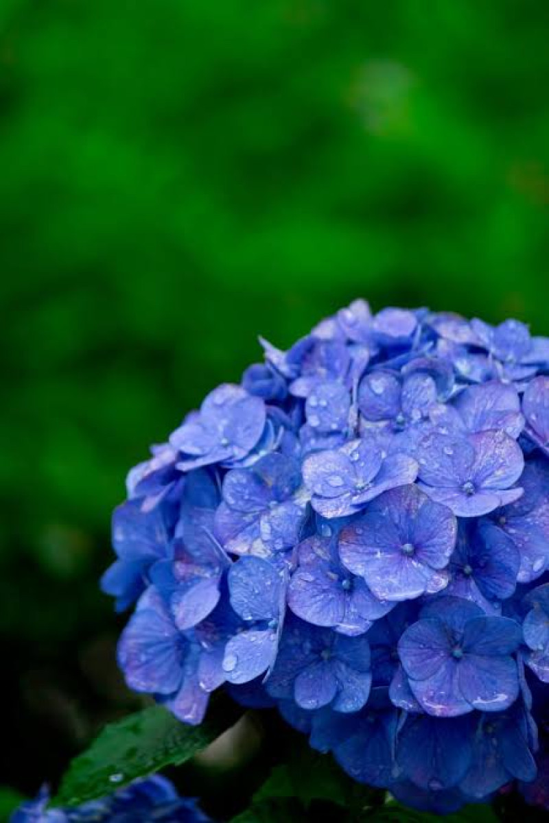 6月