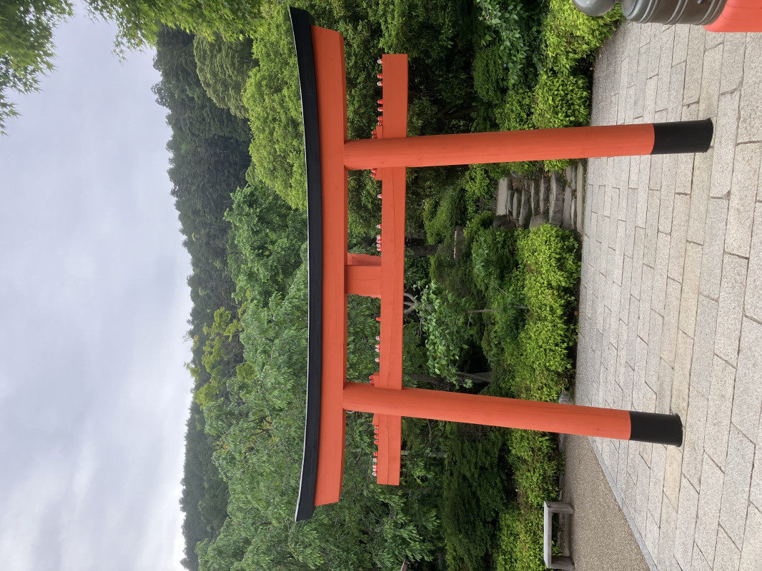 5の1引いた