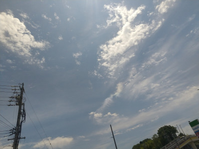 夏日