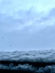 雪！