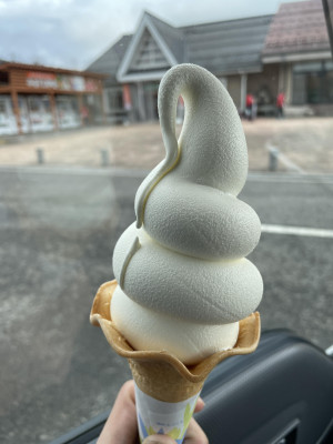 名物