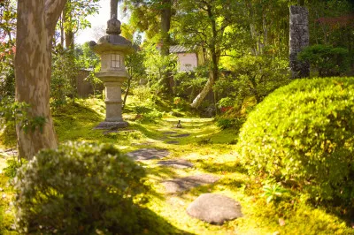 法隆寺への支援の輪がすごい！！