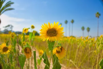 夏にやり残したこと、一緒に回収しに行きませんか？