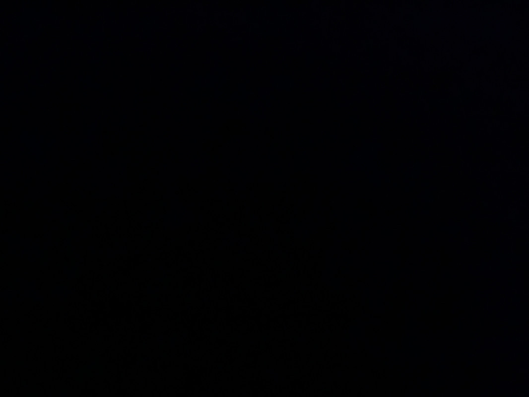 遅ればせながら