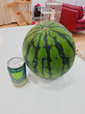 ?頂き物祭り?