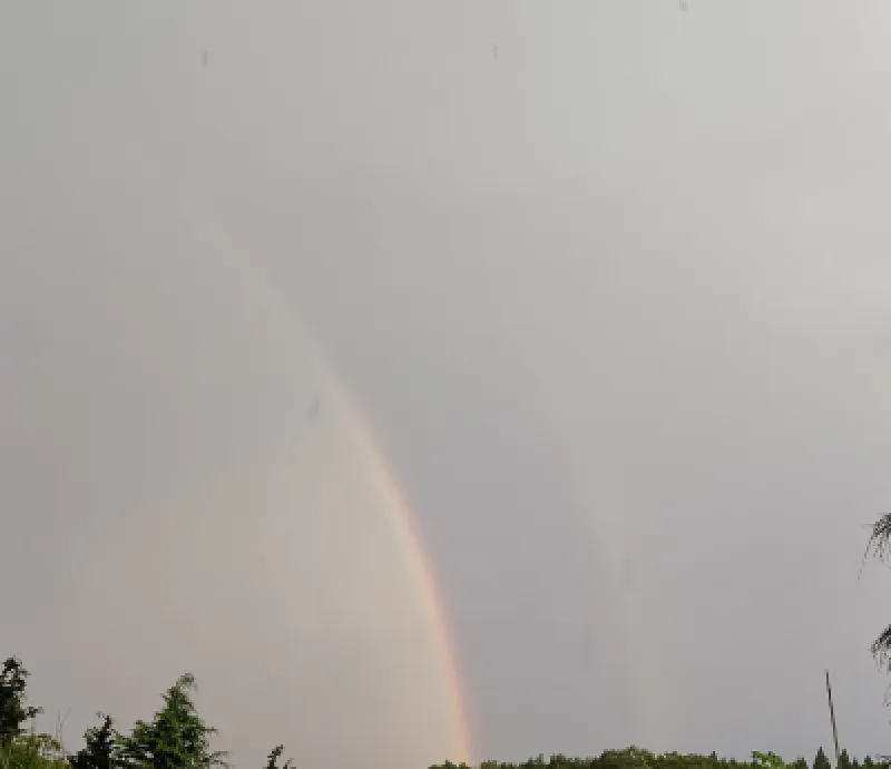 今年の梅雨は?