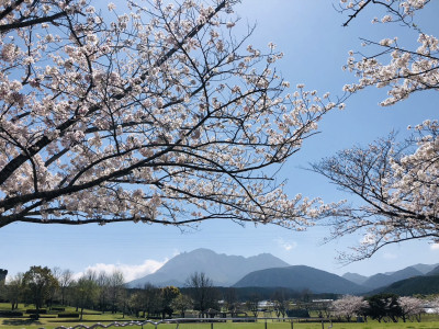 ４月はイベントもあります！