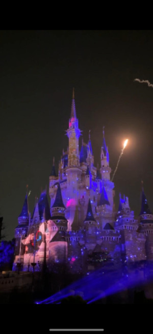 ディズニーランド