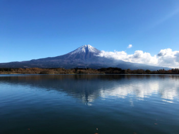 新年のご挨拶