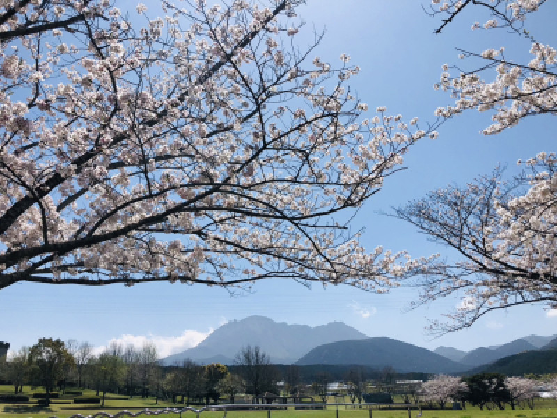 ４月はイベントもあります！