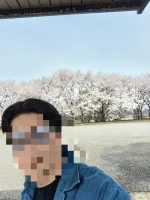 桜?