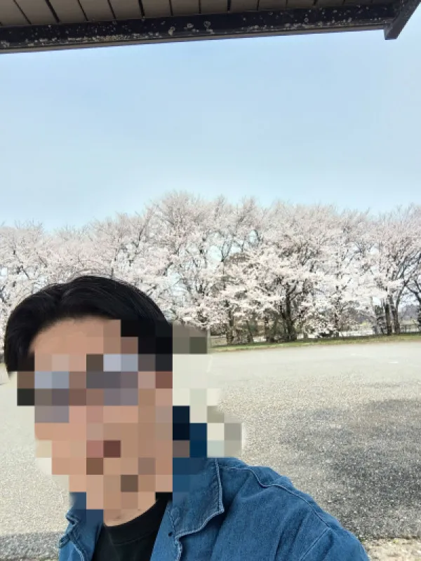 桜?