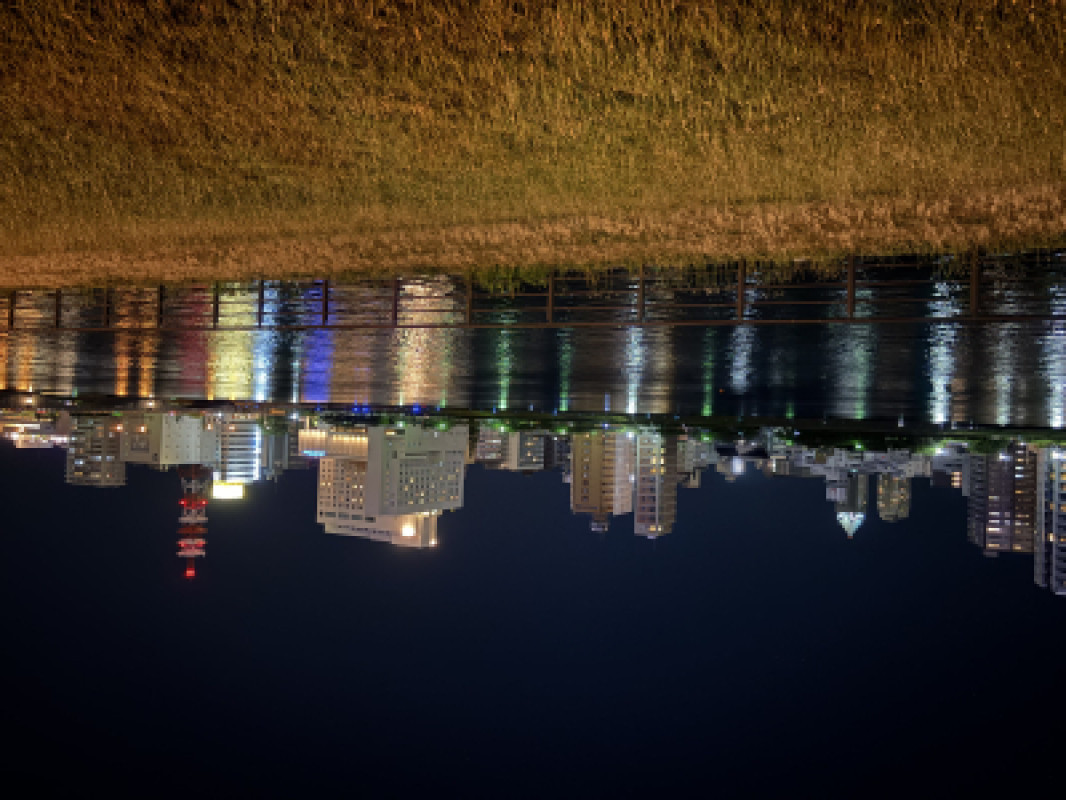 夜景?