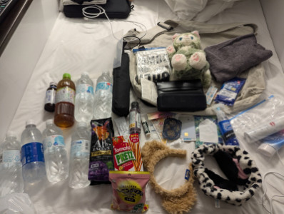 ディズニーガチ勢の荷物?