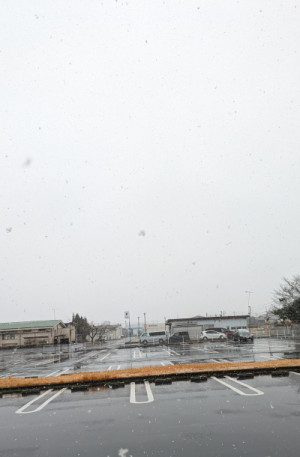 雪