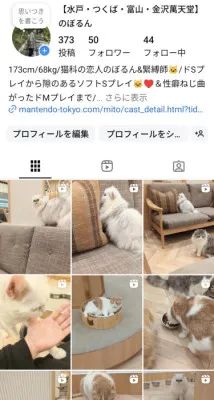 インスタで広がる猫愛ー国境を越えた可愛いの共感??