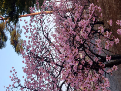 お願いがありますｗ