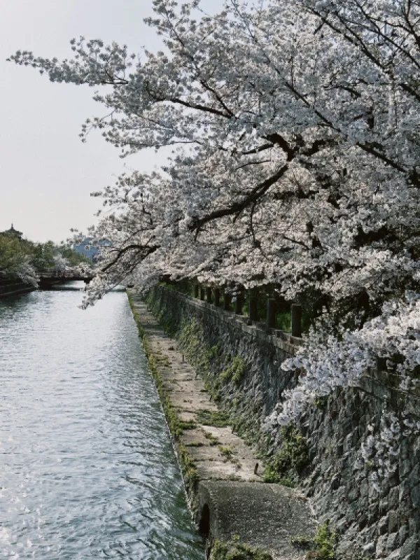 京都に出張します（5/5〜5/7）